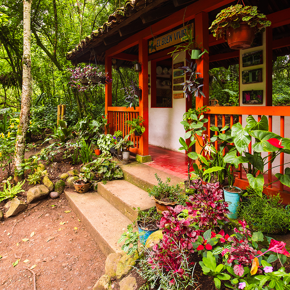 Jardín Botánico de cali