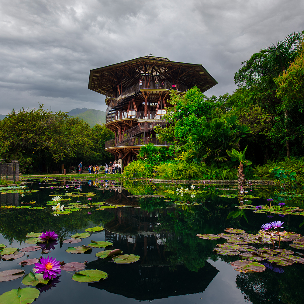 Jardín Botánico de cali