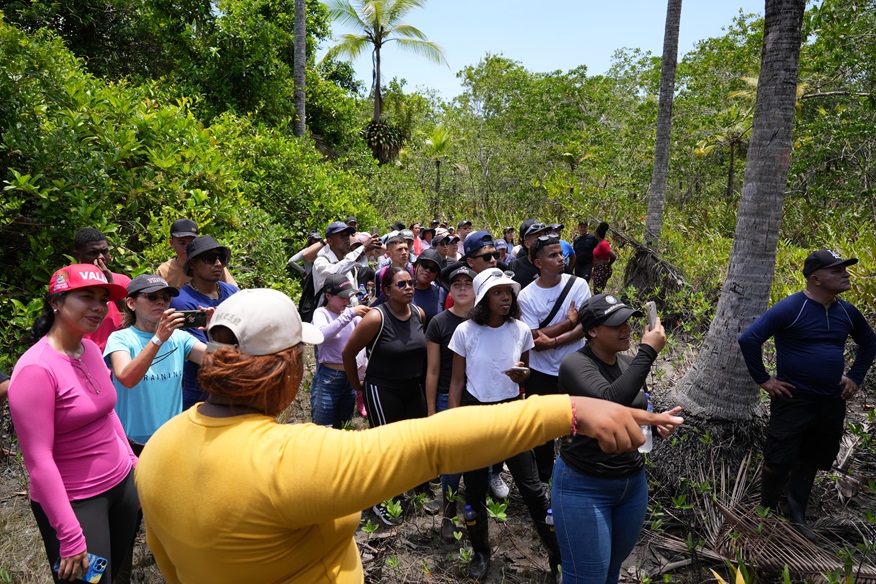 jornada manglares bazan la bocana